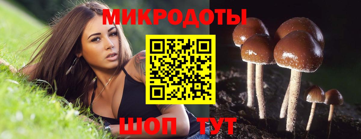 купить закладку  Псилоцибиновые грибы прущие грибы  Вход с VPN  Муравленко 