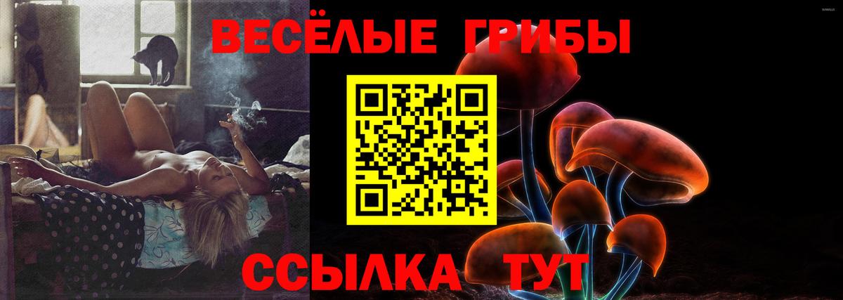 Псилоцибиновые грибы Cubensis Муравленко